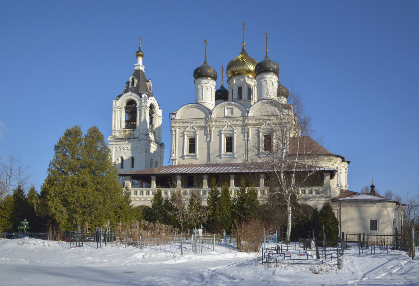 Сх фаустово фото