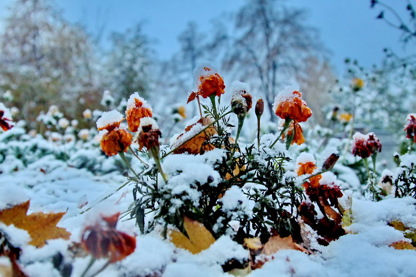 Первый снег в Челябинске