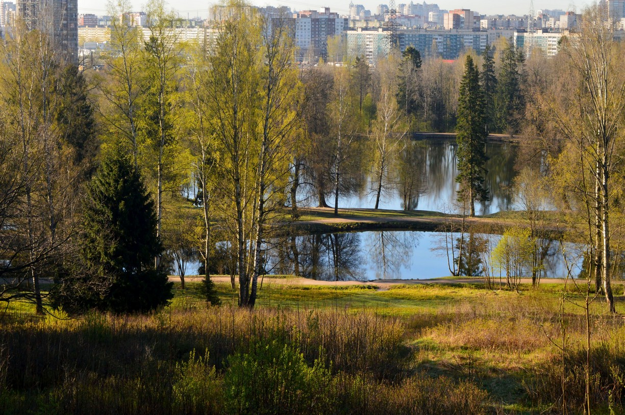 Шуваловский Парк Фото