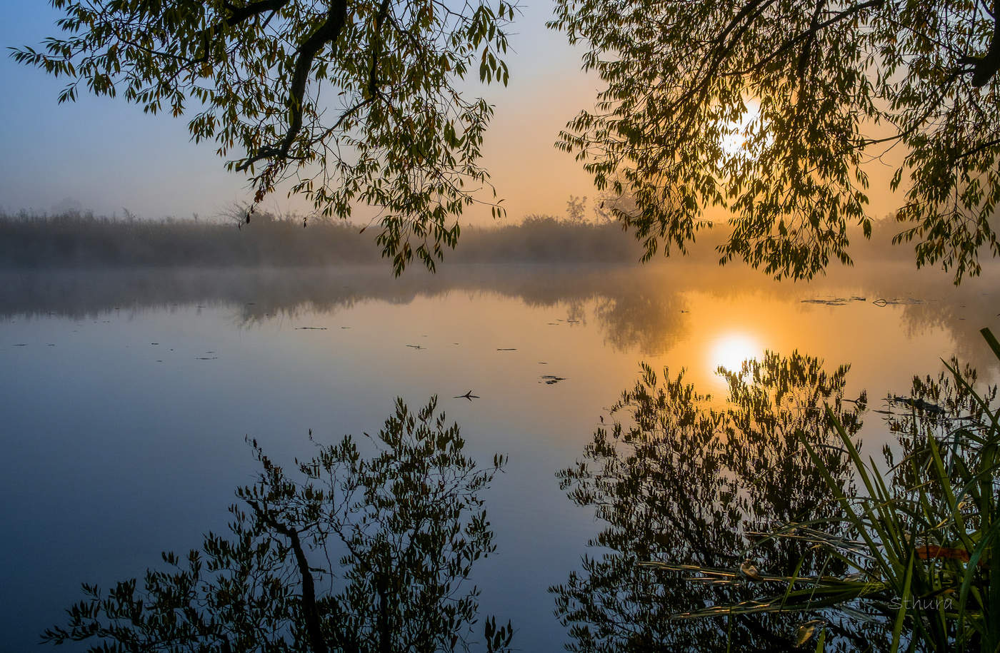Озеро Студеное Воронеж