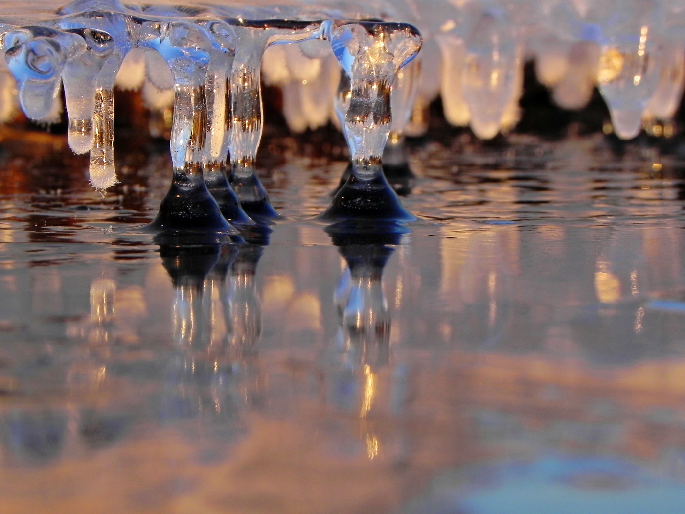 Какая вода замерзла. Стойка бара вырезана из замерзшей воды.