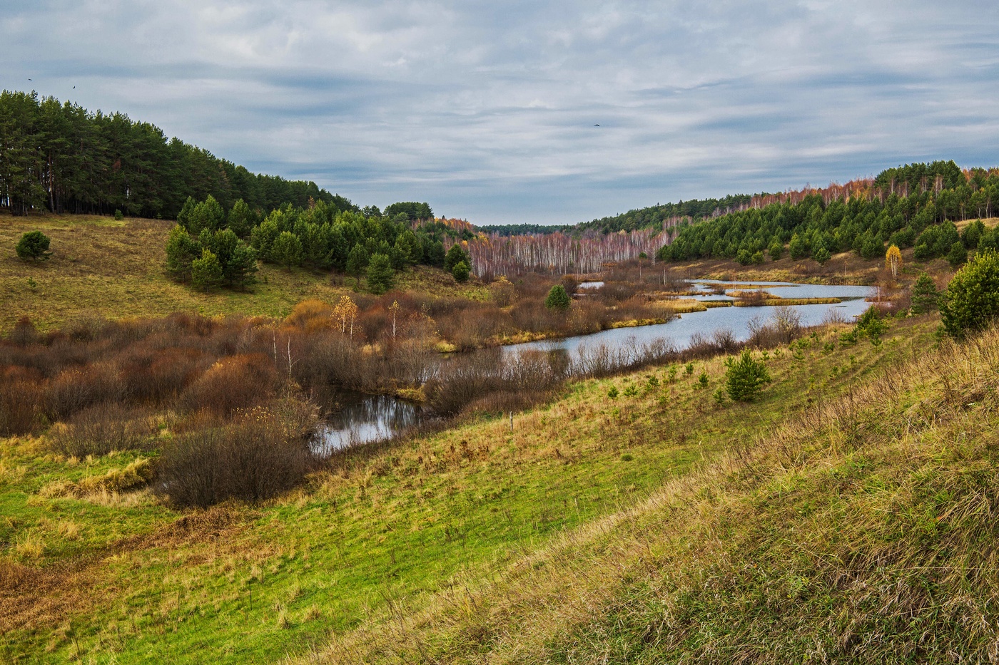 Село осиново. Осиново Татарстан. Природа Осиново. Низина. Деревня Осиново Архангельская область.