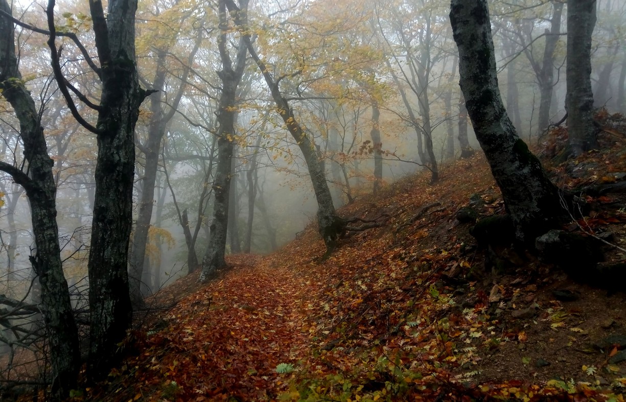 Фото железноводск осенью