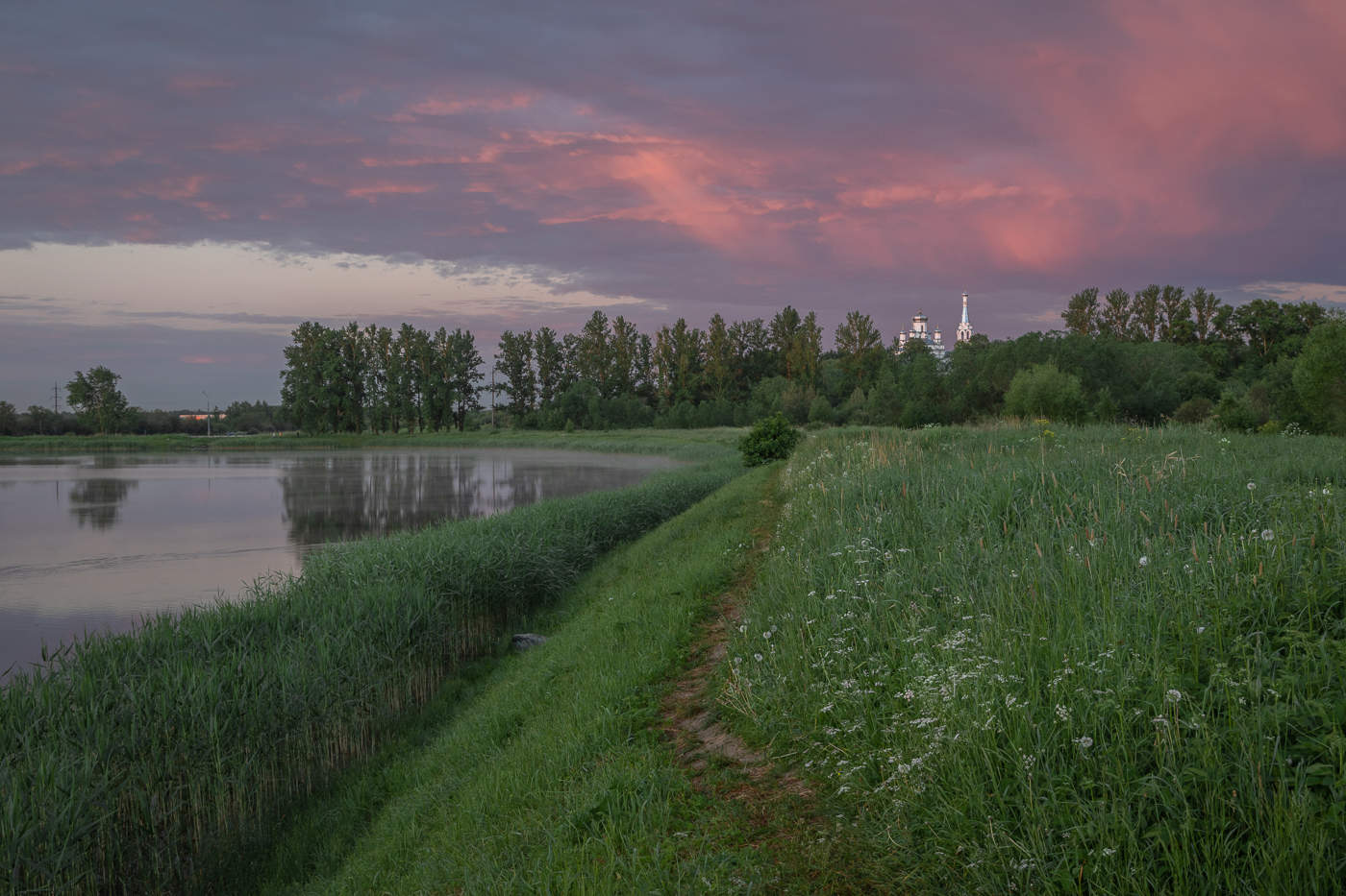 луговой парк петергоф