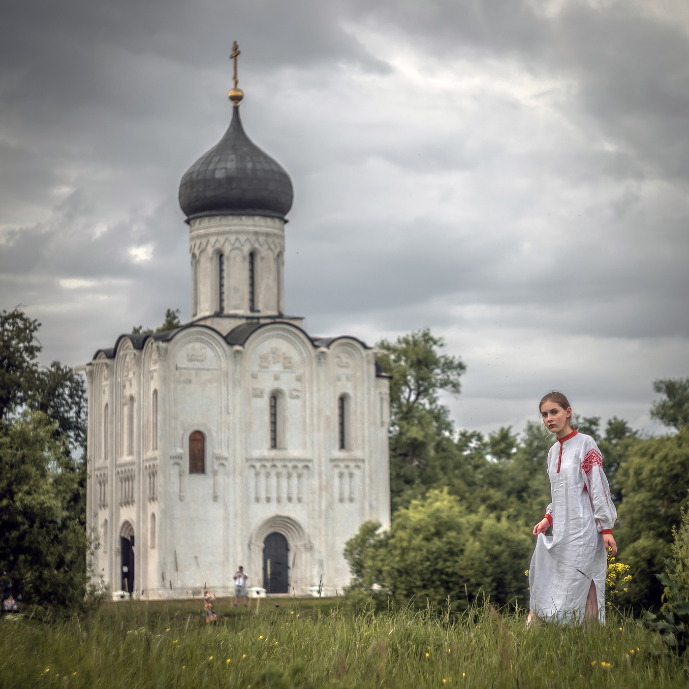 Картина на Нерли панорамный