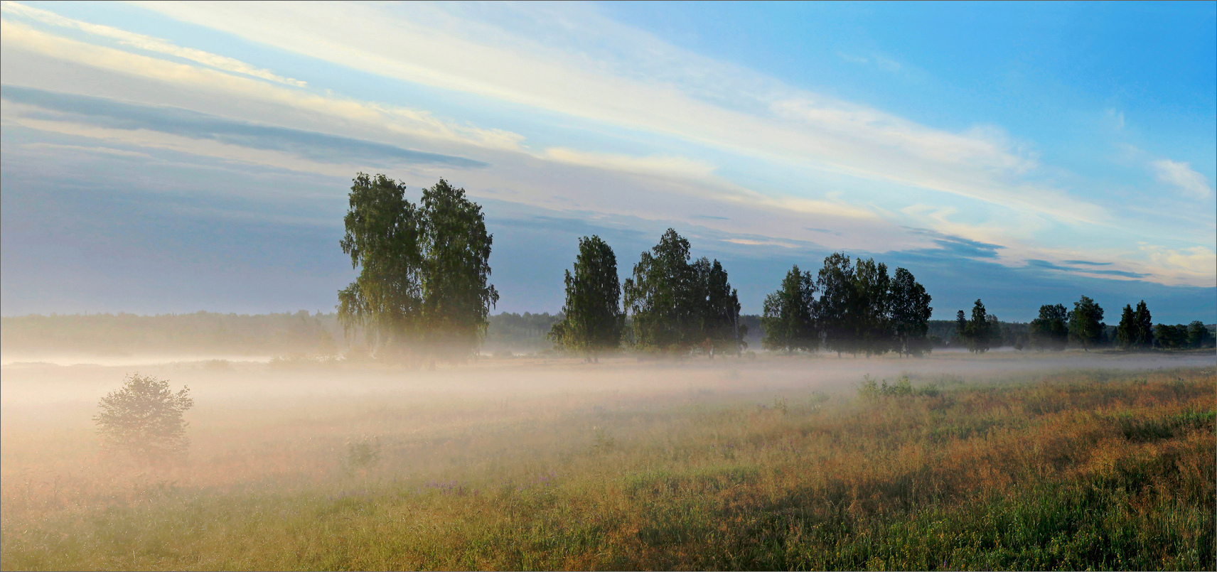 Туман стелется над полями и над синей. Поле в тумане. Туманное утро в поле. Туман над полем. Туман в чистом поле.