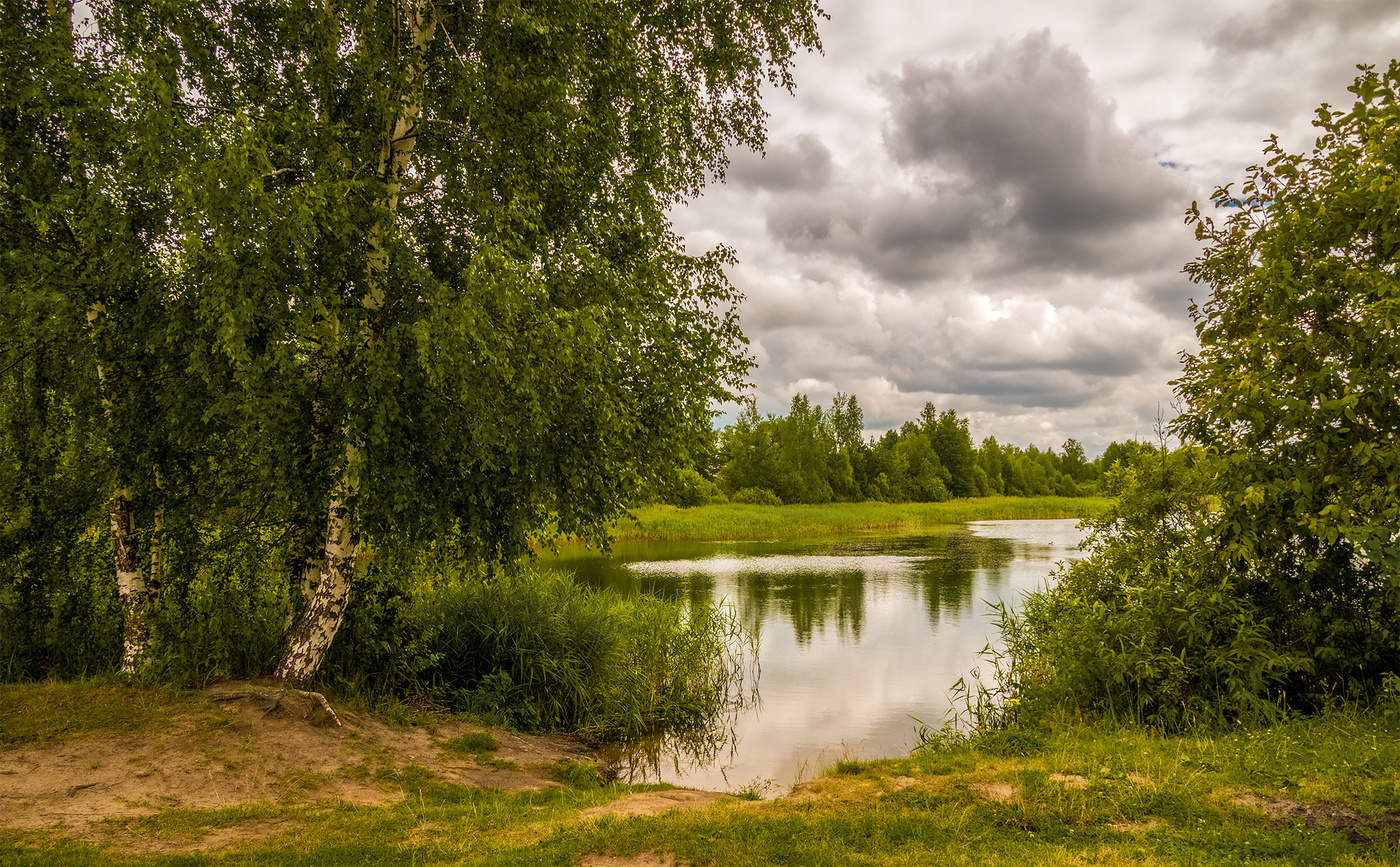 Начало июля. Природа. Природа березы река. Картина с березами и речкой. Береза картинка.