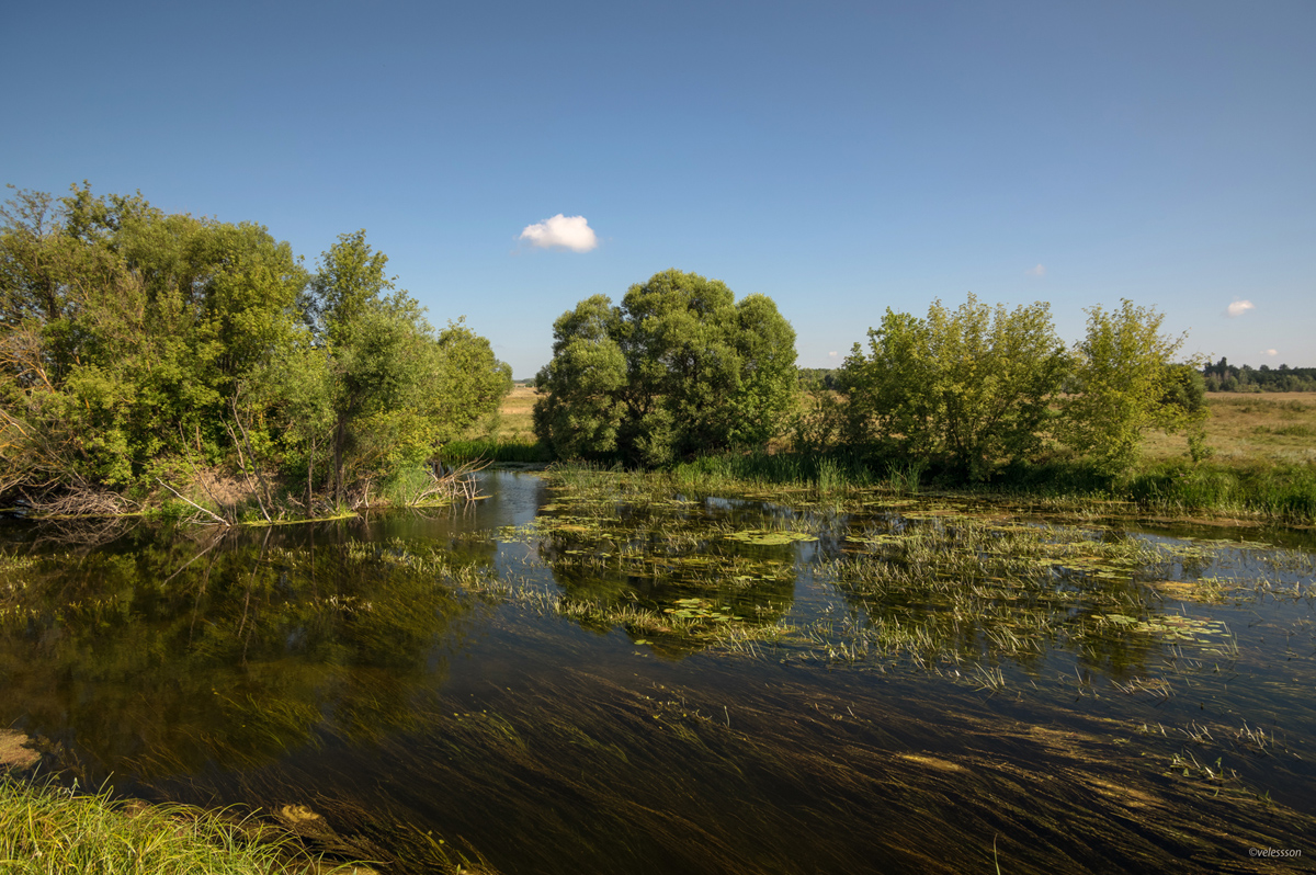 Жмуркина заводь фото