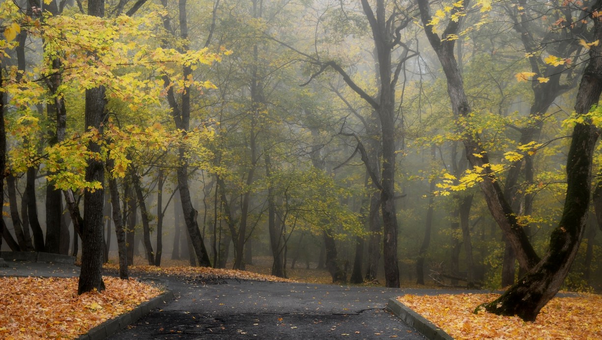 Фото железноводск осенью