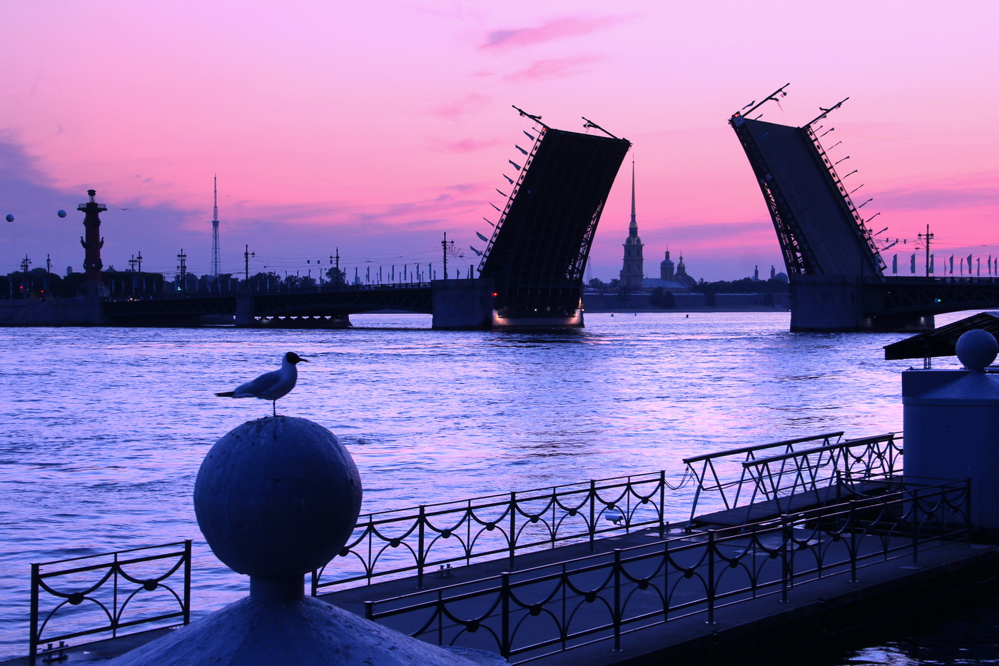 2016 год в петербурге. Дворцовый мост в Санкт-Петербурге. Белые ночи Санкт-Петербург.