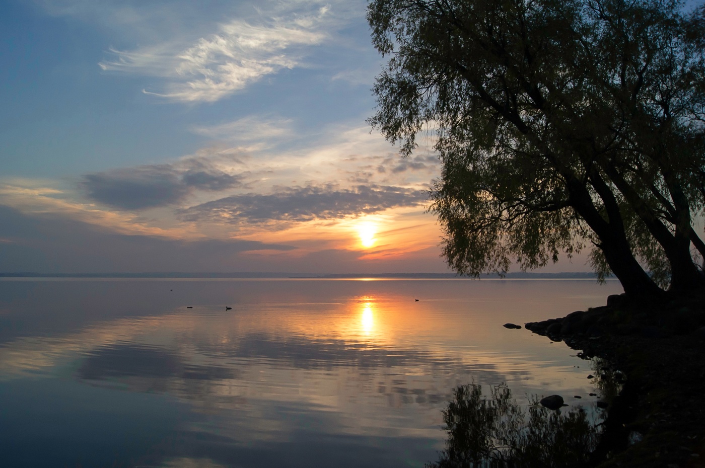 Тиши тиши тишина. Озеро тишь Калужская область. Желоховское озеро Калужская область. Желохово озеро тишь. Утренняя тишь.